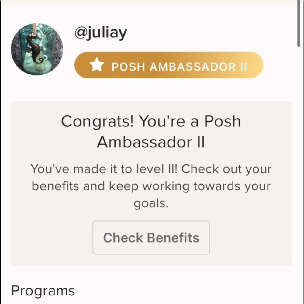 ✨Level II Posh Ambassador✨ - Picture 2 of 3